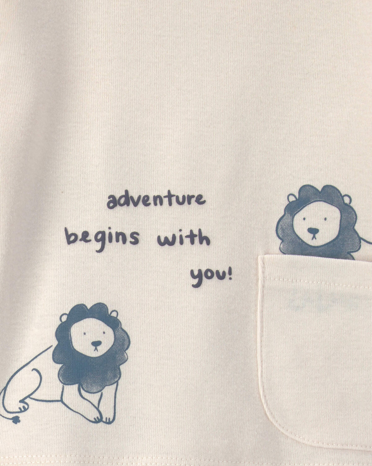 Baby Boy 4-Piece Lion Top & Pant Set - Image 5