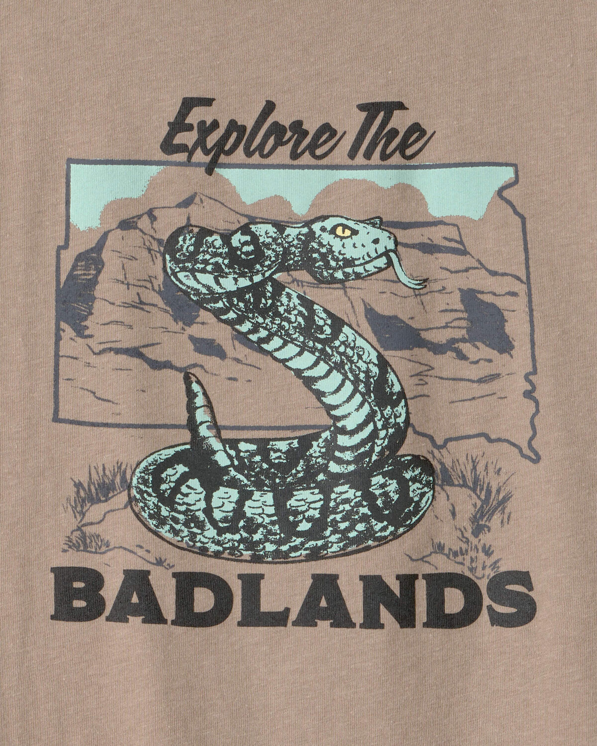 Boys Badlands Snake Graphic Tee - Brown - Image 2