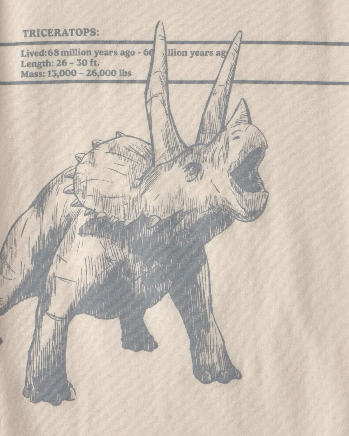 Boys Triceratops Dinosaur Graphic Tee - Cream - Image 2