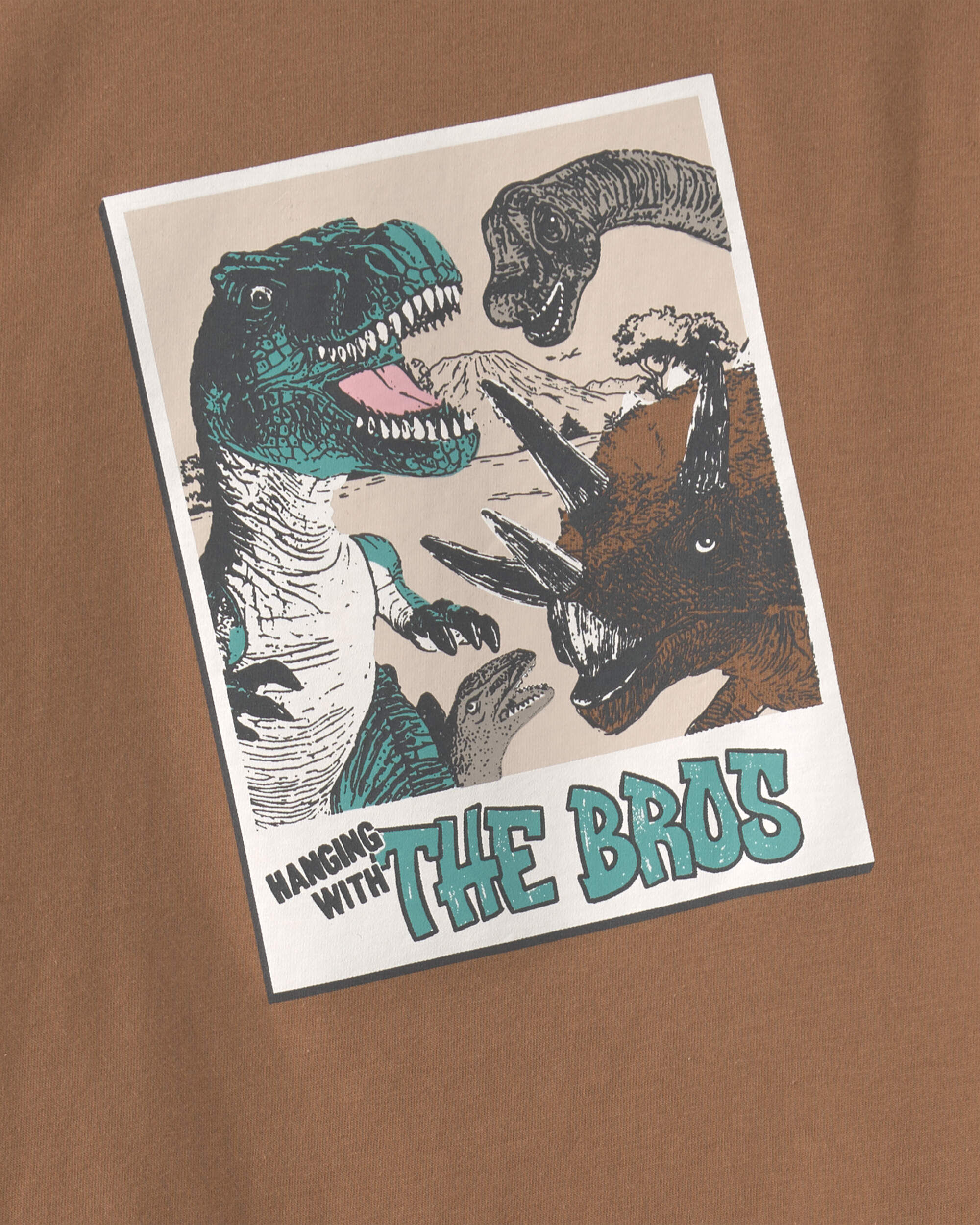 Boys Dinosaur Bros Long-Sleeve Graphic Tee - Brown - Image 3