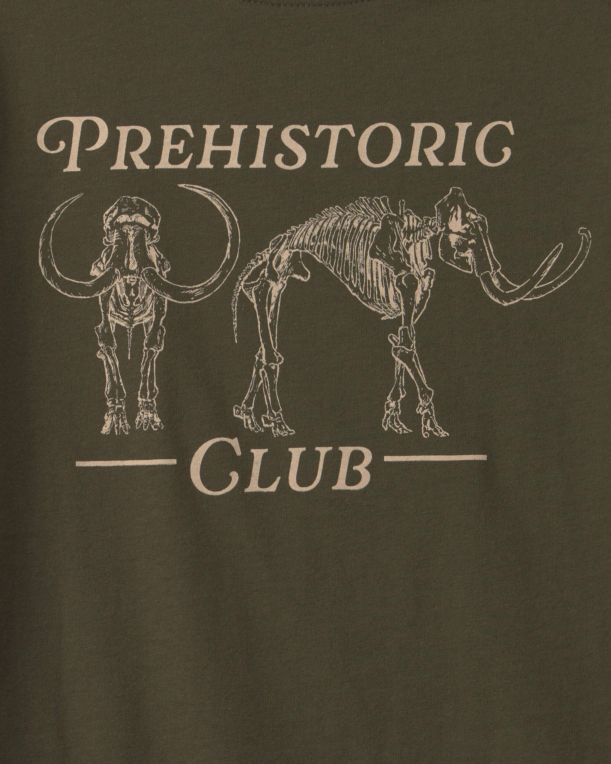 Boys 'Prehistoric Club' Graphic Tee - Olive Green - Image 3