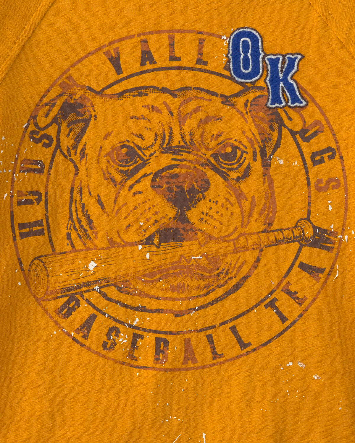 Boys 'Hudson Valley Dogs' Graphic Tee - Yellow - Image 2