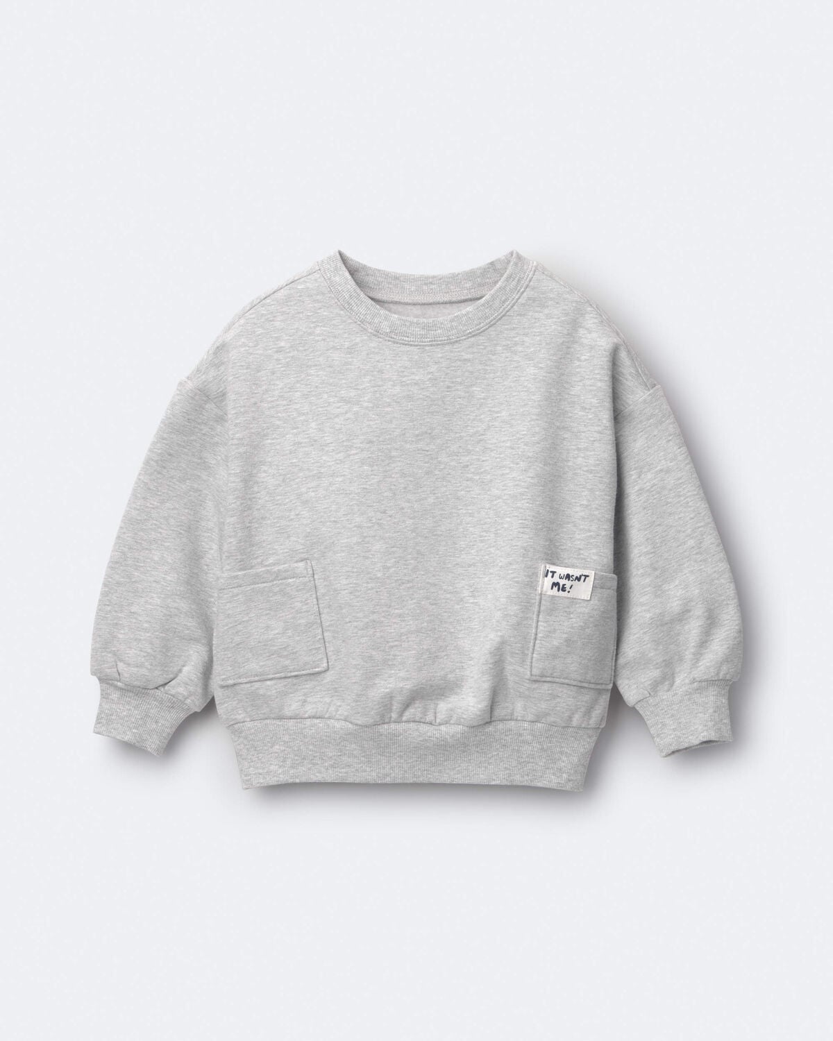 Toddler 'It Wasn't Me!' Otter Sweatshirt™ with Pockets - Heather Grey - Image 2